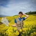 Emily Carlson collected pollen from hundreds of hives across various crops.  Credit: Emily Carlson